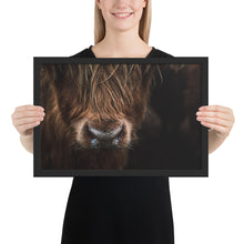 Load image into Gallery viewer, Scottish Highland Cow Framed Poster