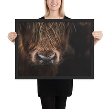 Load image into Gallery viewer, Scottish Highland Cow Framed Poster