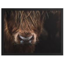 Load image into Gallery viewer, farm animals photography