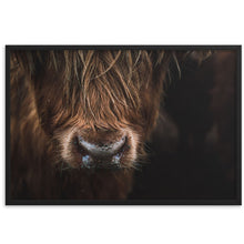 Load image into Gallery viewer, Scottish Highland Cow Framed Poster