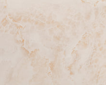 Load image into Gallery viewer, Hibiscus flowerng shrub
