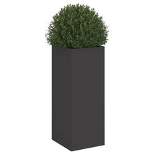 Load image into Gallery viewer, VidaXL Black Planter Cold-rolled Steel - MULTIPLE SIZES AVAILABLE
