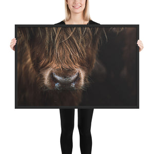 Scottish Highland Cow Framed Poster