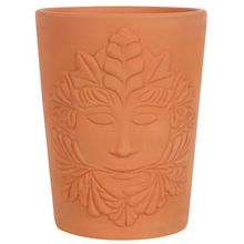 Load image into Gallery viewer, terracotta plant pot
