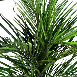 130 cm Areca Palm Artificial Tree