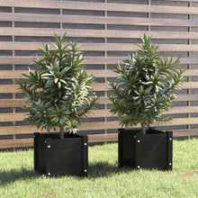 Load image into Gallery viewer, VidaXL Garden Planter 31 x 31 x 31 cm Solid Pinewood Black
