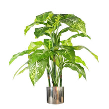 Load image into Gallery viewer, 100cm Large Fox&#39;s Aglaonema (Spotted Evergreen) Tree Artificial Plant with Silver Metal Planter
