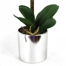 Load image into Gallery viewer, 46 cm Artificial Orchid Red with Silver Pot
