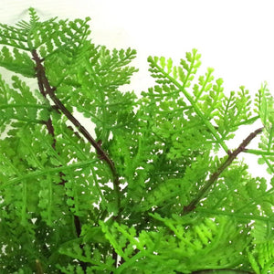 30 cm Artificial Potted Lady Fern (Athyrium Filix-Femina)