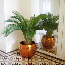 Load image into Gallery viewer, 80 cm Cycas Palm Plant Artificial Tropical Tree
