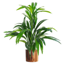 Load image into Gallery viewer, 65cm Artificial Large Leaf Bamboo Shrub Plant
