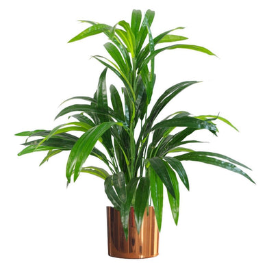 65cm Artificial Large Leaf Bamboo Shrub Plant