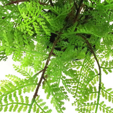 Load image into Gallery viewer, 30 cm Artificial Potted Lady Fern (Athyrium Filix-Femina)
