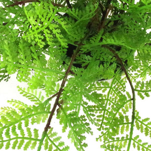 30 cm Artificial Potted Lady Fern (Athyrium Filix-Femina)