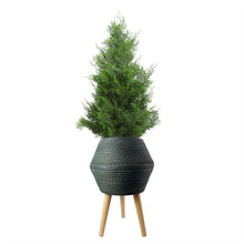 Load image into Gallery viewer, Orion Large Green Grey Planter With Legs
