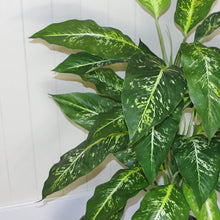 Load image into Gallery viewer, 100 cm Large Fox&#39;s Aglaonema Tree Artificial Plant With Silver Metal Planter
