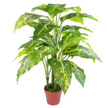 Load image into Gallery viewer, 100 cm Large Fox&#39;s Aglaonema Tree Artificial Plant With Silver Metal Planter
