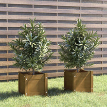 Load image into Gallery viewer, vidaXL Garden Planter 31x31x31 cm Solid Pinewood Honey Brown
