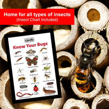 Load image into Gallery viewer, ASAB Insect Hotel Bug House
