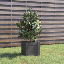 Load image into Gallery viewer, vidaXL Garden Planter 31x31x31 cm Solid Pinewood Grey
