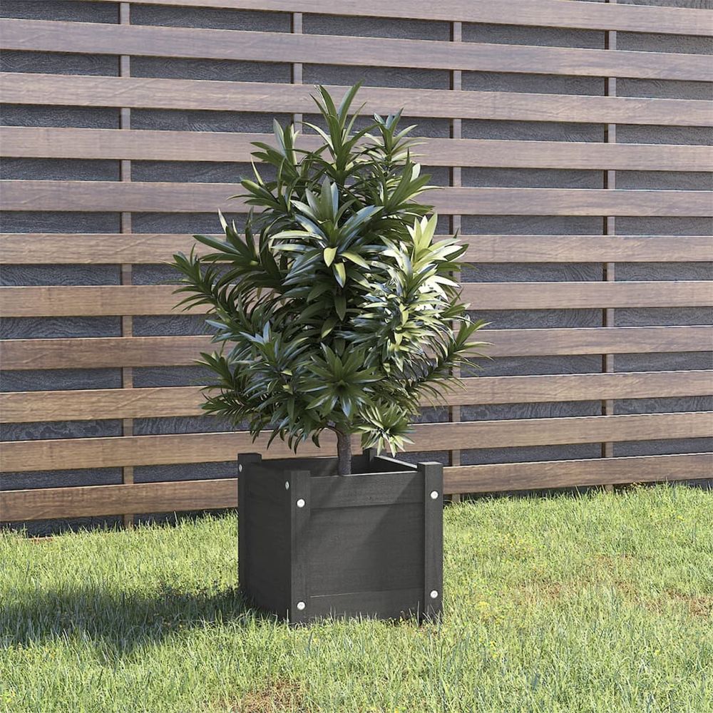 vidaXL Garden Planter 31x31x31 cm Solid Pinewood Grey