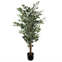 Load image into Gallery viewer, 130 cm Tall Variegated White/Green Bushy Ficus Tree
