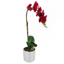 Load image into Gallery viewer, 46 cm Artificial Orchid Red with Silver Pot
