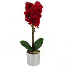 Load image into Gallery viewer, 46cm Artificial Orchid Red with Silver Pot
