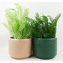 Load image into Gallery viewer, Dusty Peach Raised Dots Ceramic Plant Pot 15 x 15 x 12.5 cm
