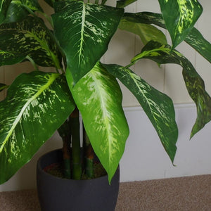 100 cm Large Fox's Aglaonema Tree Artificial Plant With Silver Metal Planter