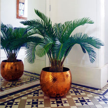 Load image into Gallery viewer, Cycas Palm Plant Artificial Tropical Tree
