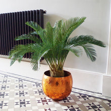 Load image into Gallery viewer, 80 cm Cycas Palm Plant Artificial Tropical Tree
