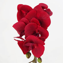 Load image into Gallery viewer, 46 cm Artificial Orchid Red with Silver Pot
