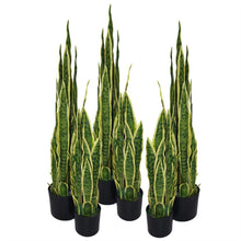 Load image into Gallery viewer, 55 cm Artificial Sansevieria Yellow Green Indoor Plant
