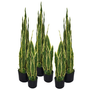 55 cm Artificial Sansevieria Yellow Green Indoor Plant