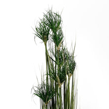 Load image into Gallery viewer, 120 cm Artificial Ornamental Grass Plant
