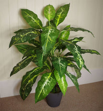 Load image into Gallery viewer, 100 cm Large Fox&#39;s Aglaonema Tree Artificial Plant With Silver Metal Planter
