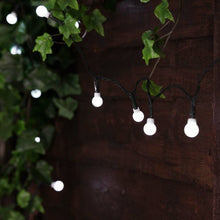 Load image into Gallery viewer,  Function Berry LED Fairy Lights - Garden solar lights
