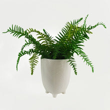 Load image into Gallery viewer, Tall Ceramic Planter Plant Pot With Feet White Stripe 15 x 15 x 19cm
