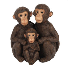 Load image into Gallery viewer, Just The Tree Of Us Monkey Family Ornament
